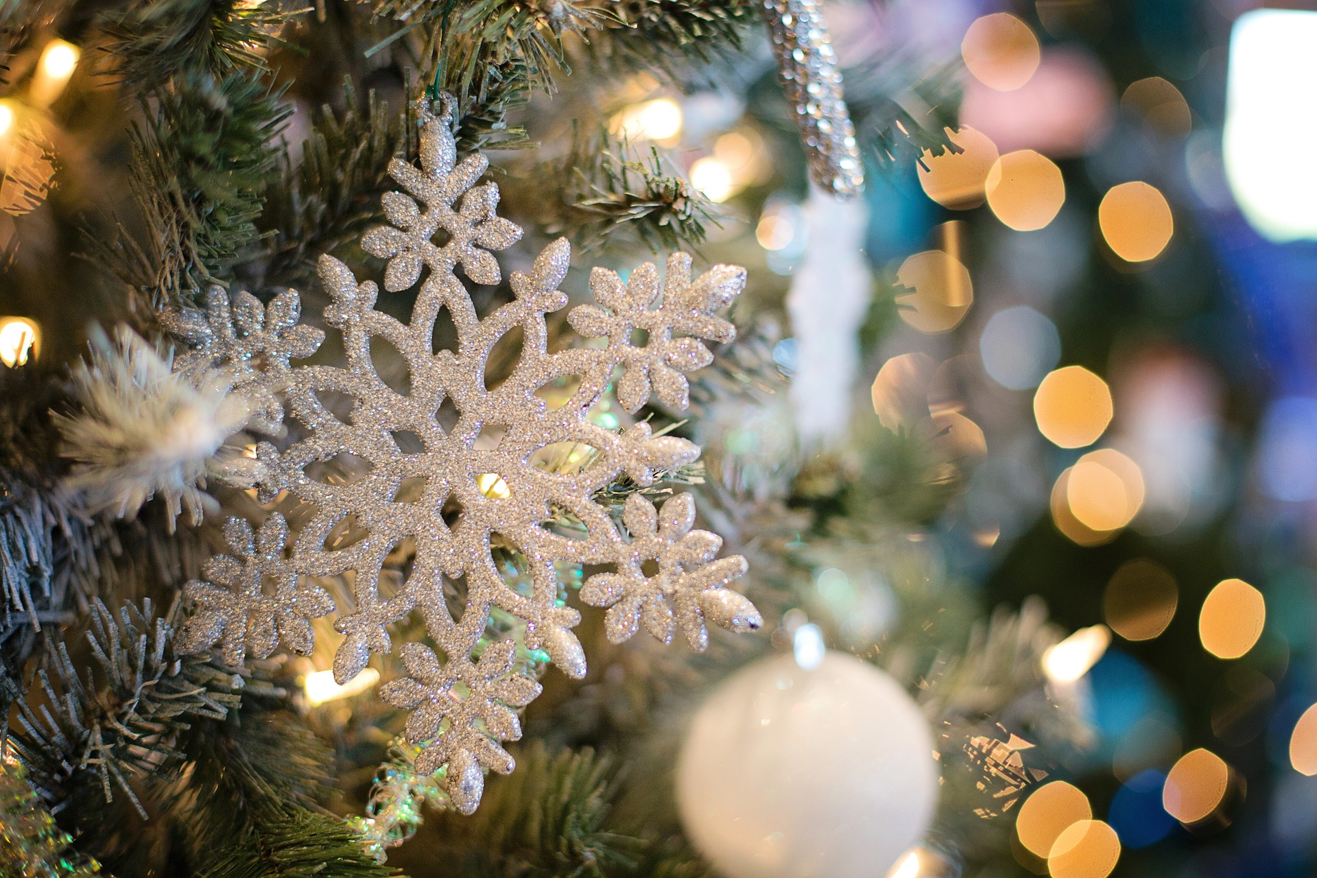Location de Sapin de Noël décoré