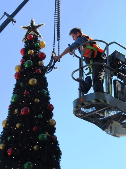 professionnel-sapin-noel