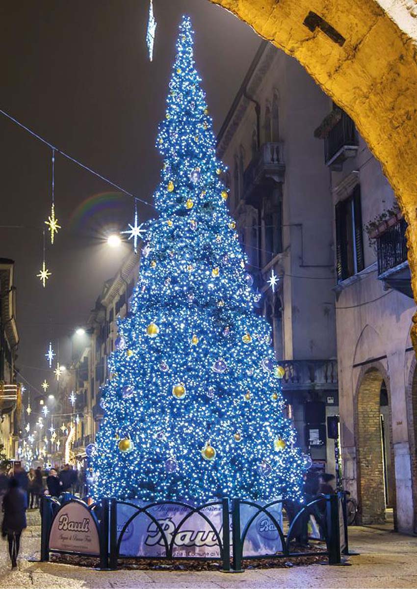 Sapin de Noël décoré à louer